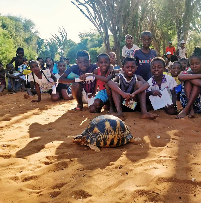 Soptom protects the radiated tortoises in Madagascar